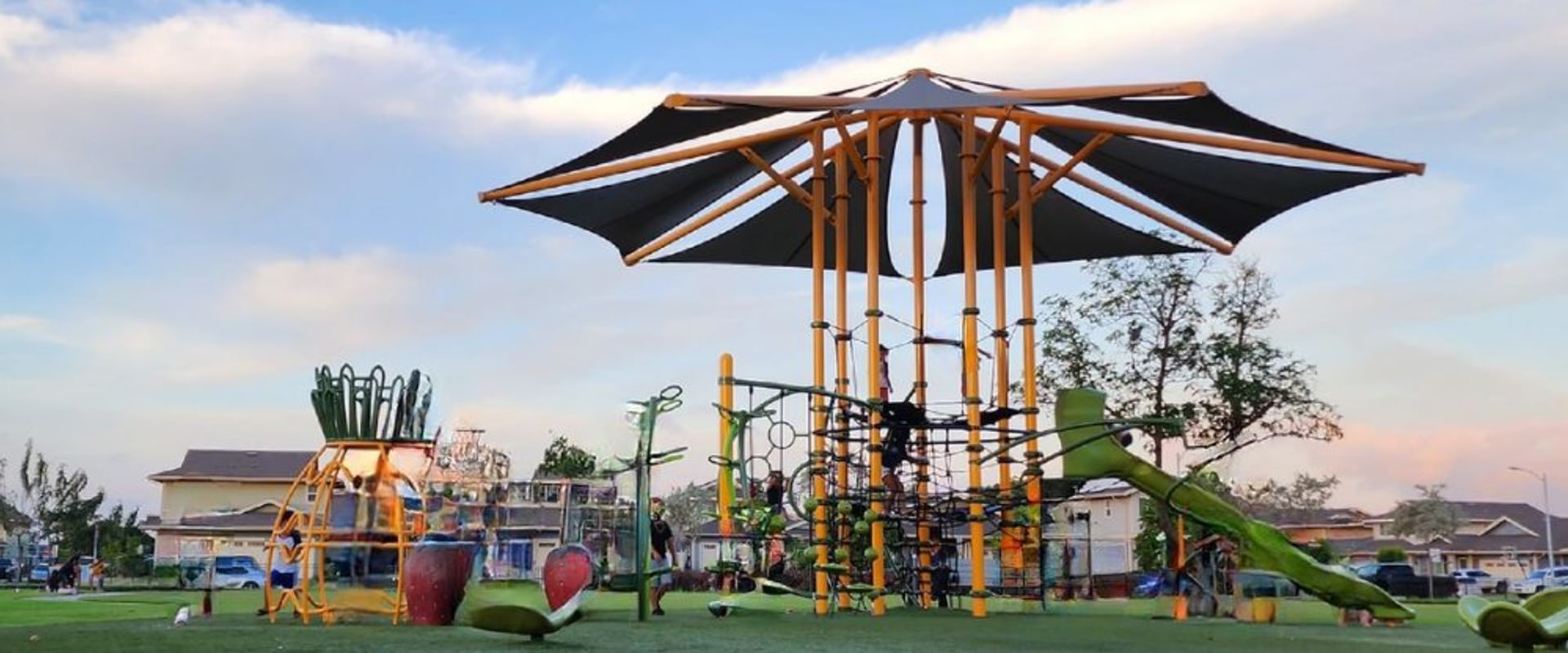 The Importance of Public Parks and Recreational Areas for Senior Citizens in Honolulu County, Hawaii