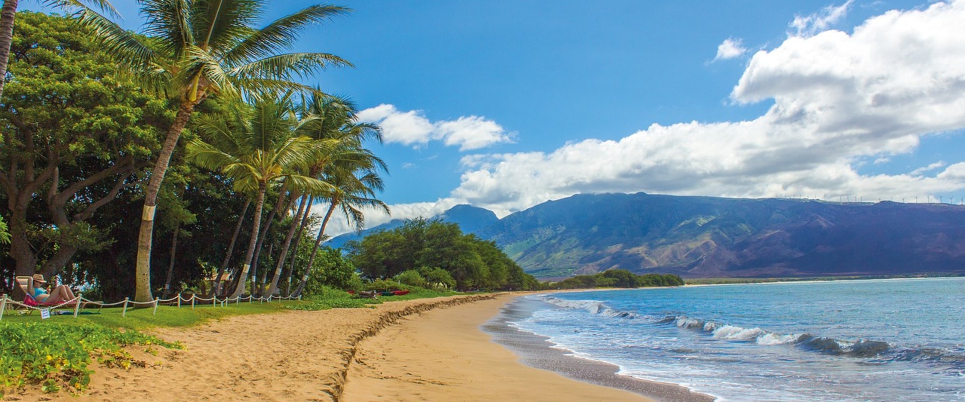 Ensuring the Well-Being of Senior Citizens in Honolulu County, Hawaii