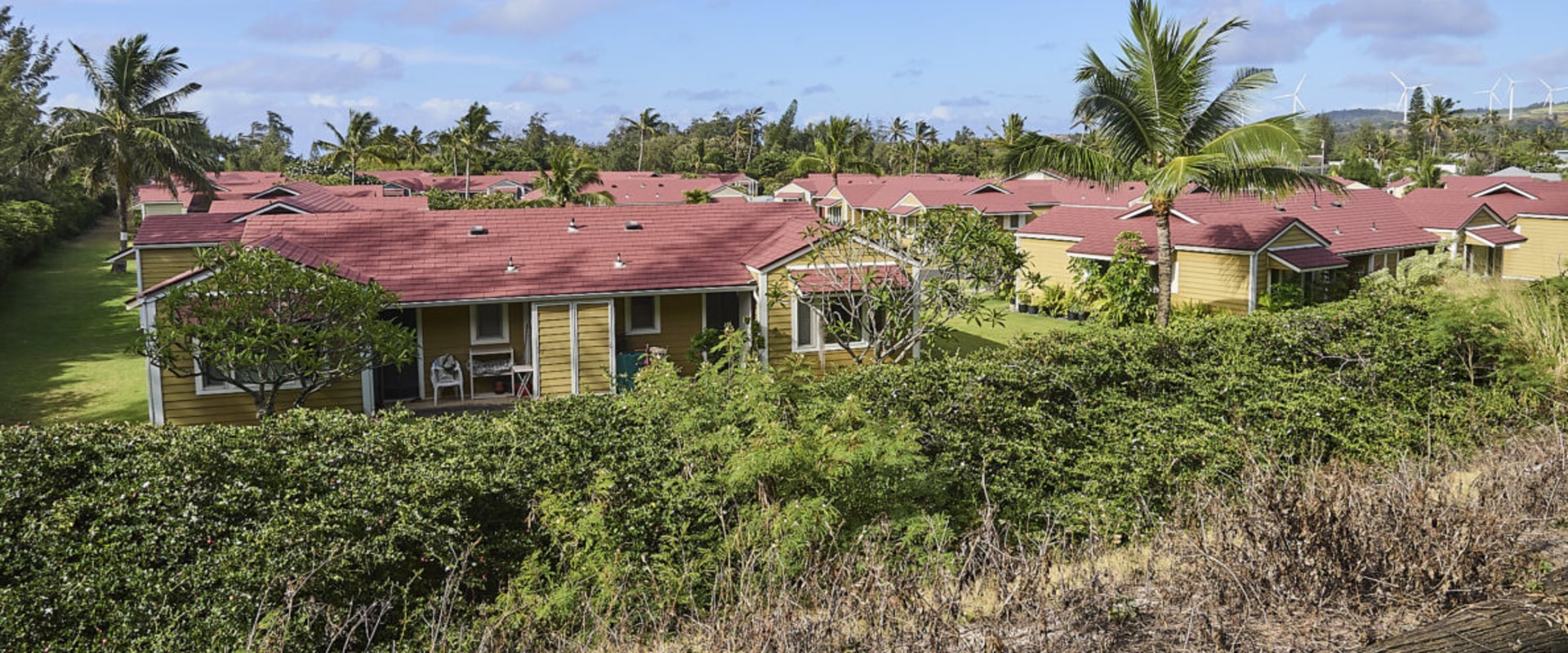 Ensuring the Safety of Senior Citizens in Honolulu County, Hawaii